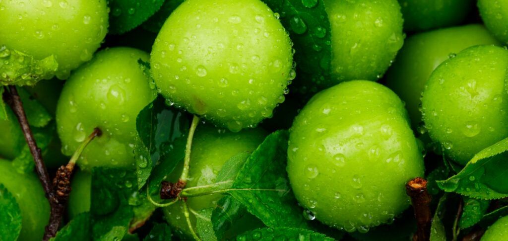 Fructose-Intoleranz – die fructosearme Ernährung…
